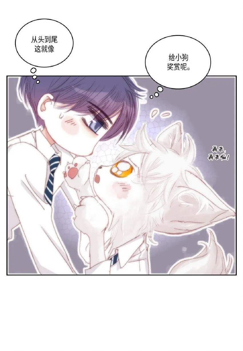 51 我不想让他失望77