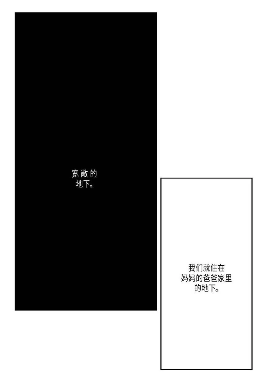 59 有宽敞草坪的大宅子7