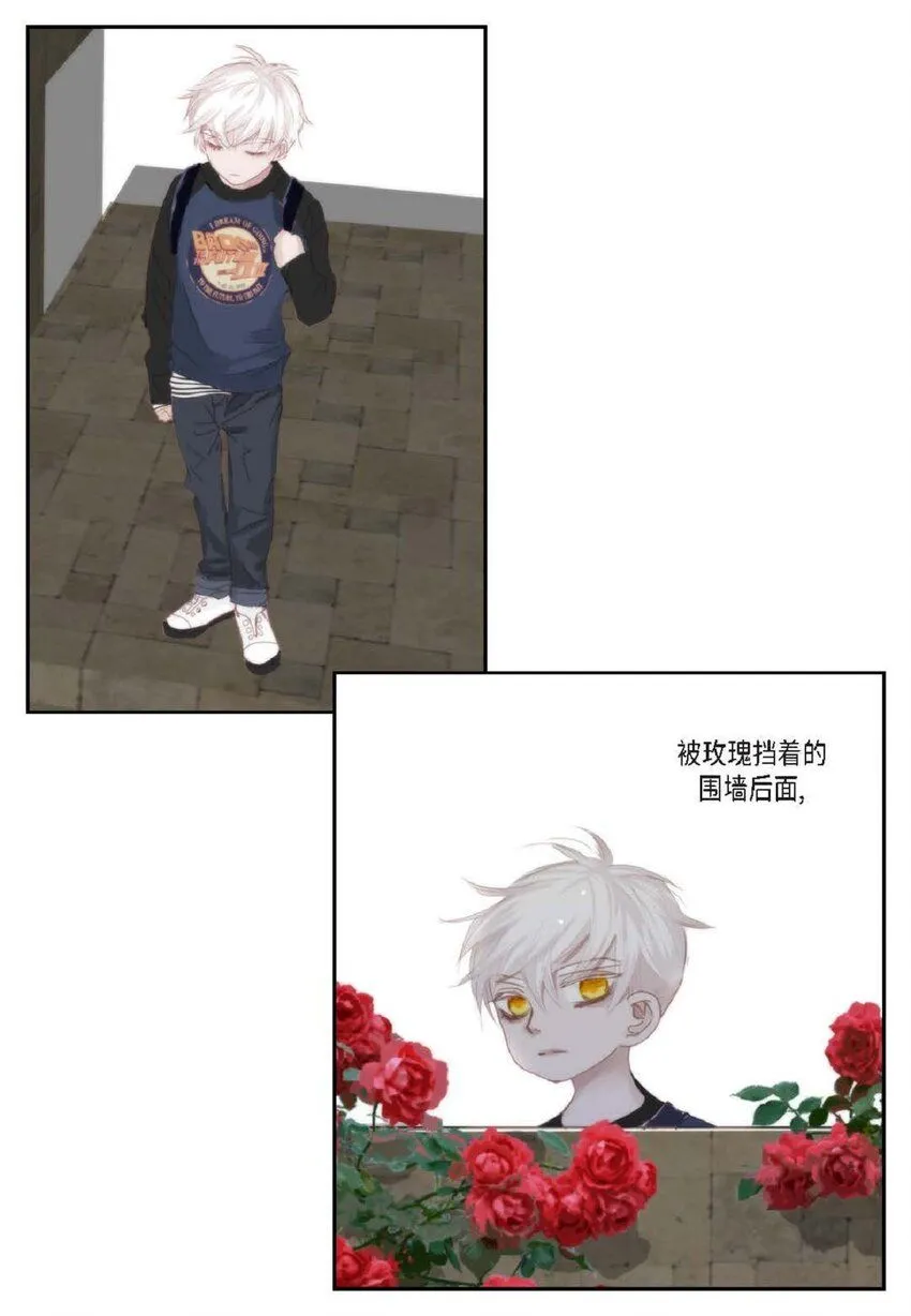59 有宽敞草坪的大宅子11