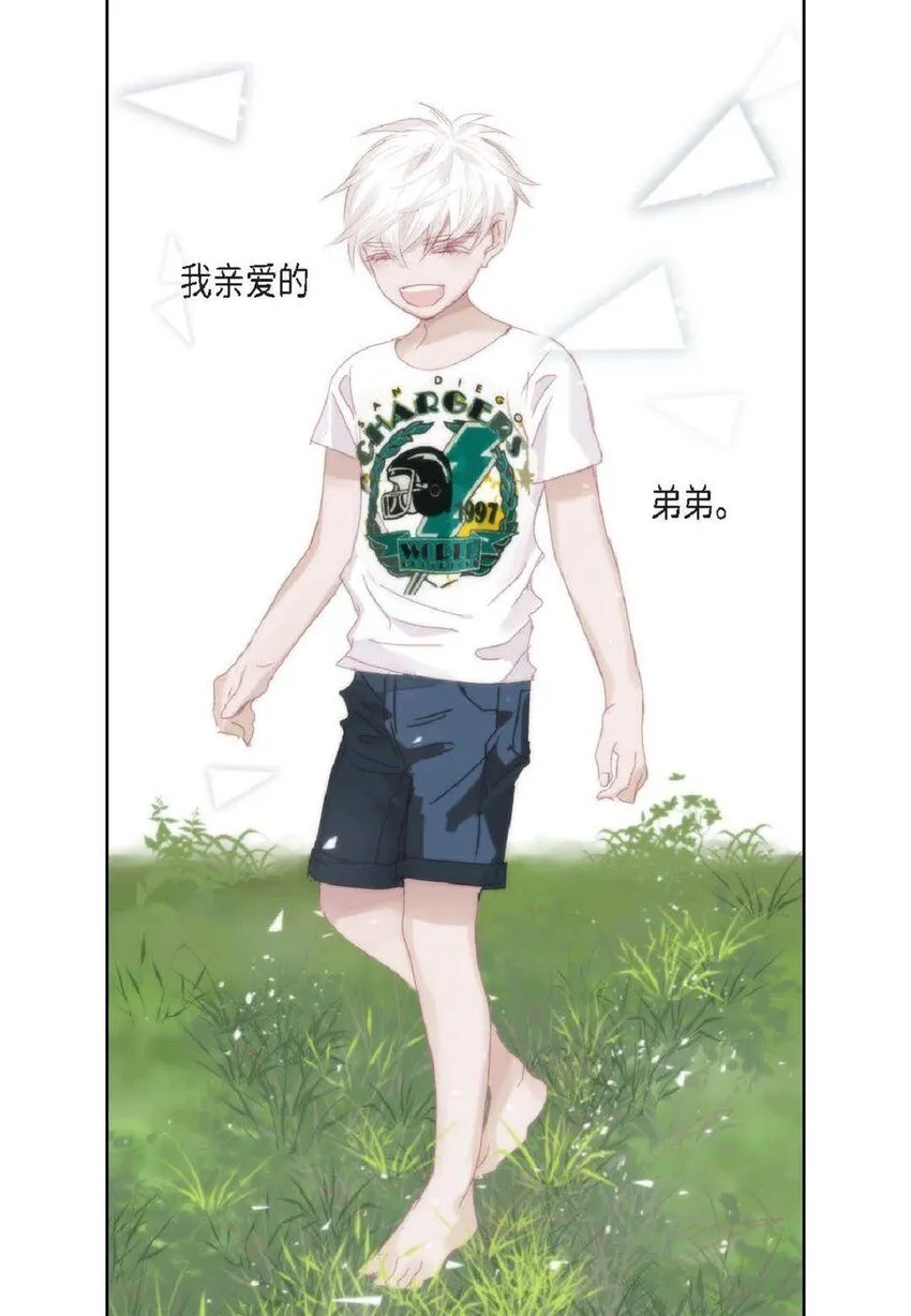 59 有宽敞草坪的大宅子19