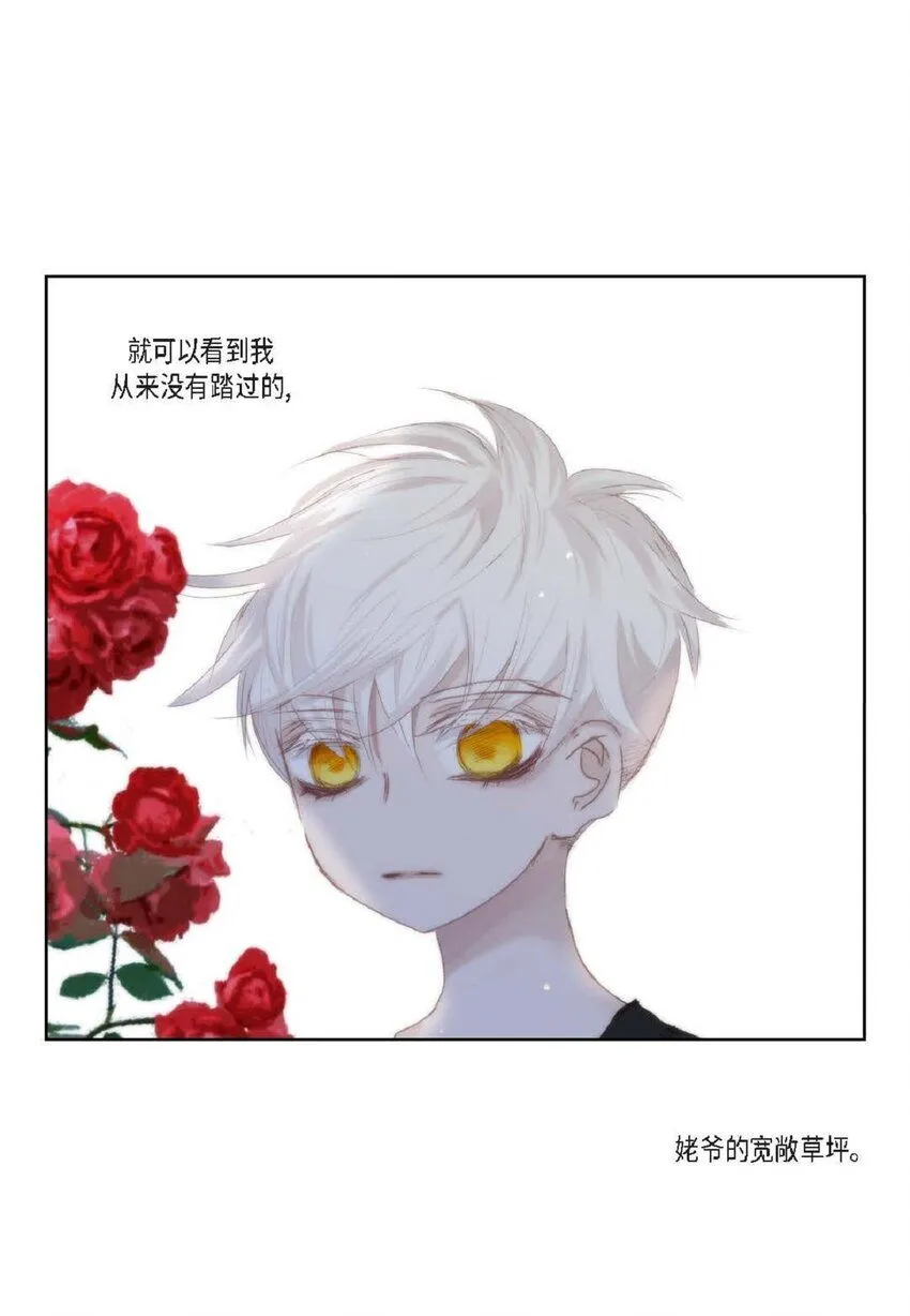59 有宽敞草坪的大宅子12