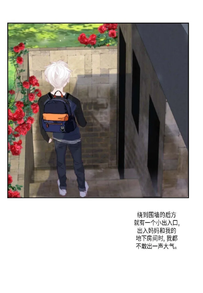 59 有宽敞草坪的大宅子10
