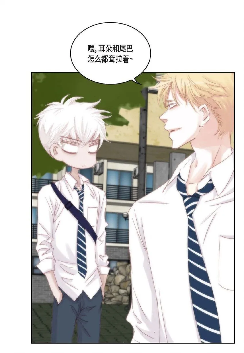 50 装生气47