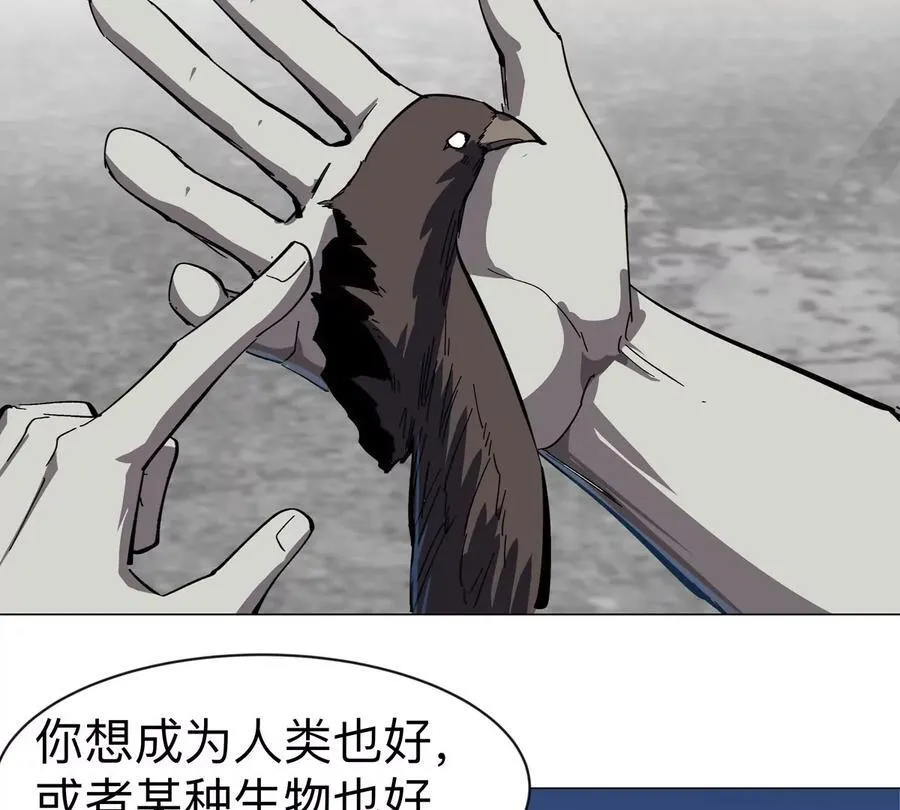 第85话 开打80