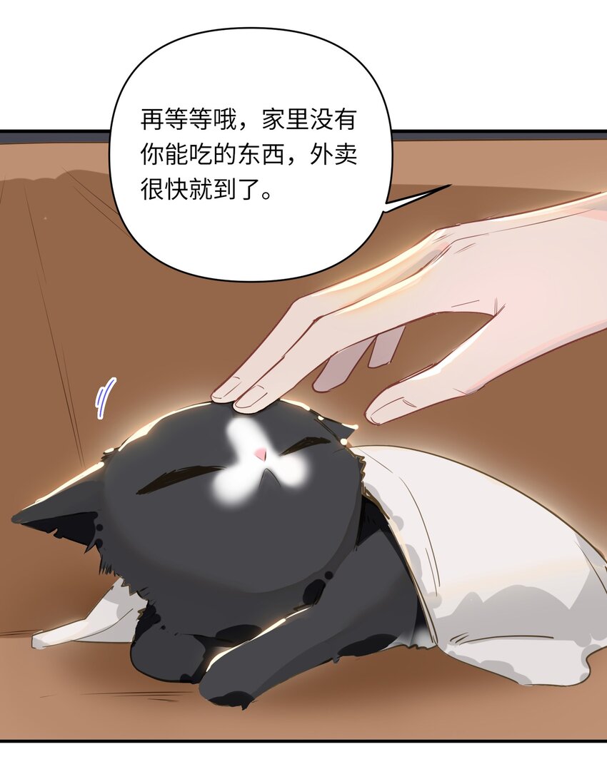 004 捡到猫了！31