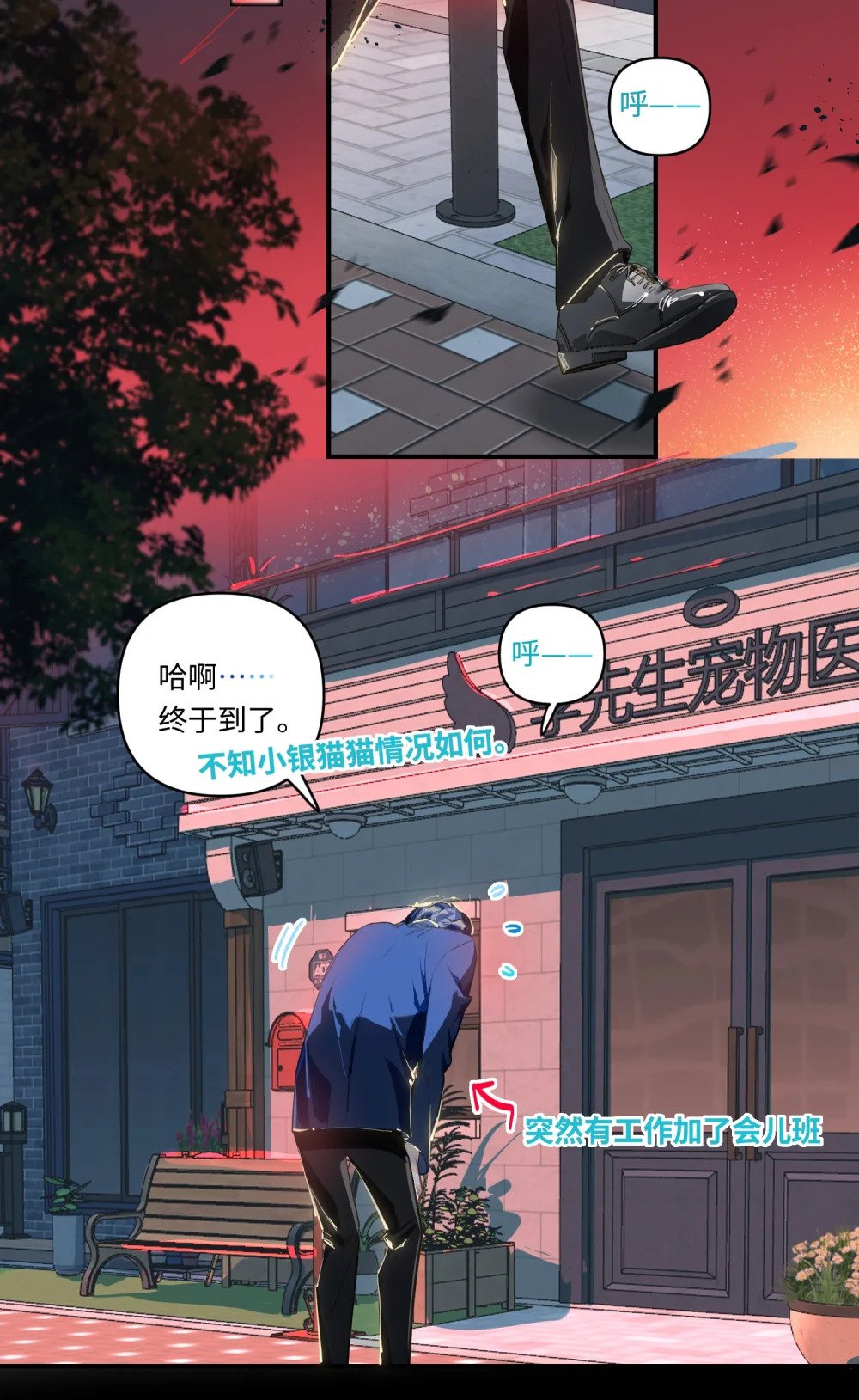 018 受伤的猫15