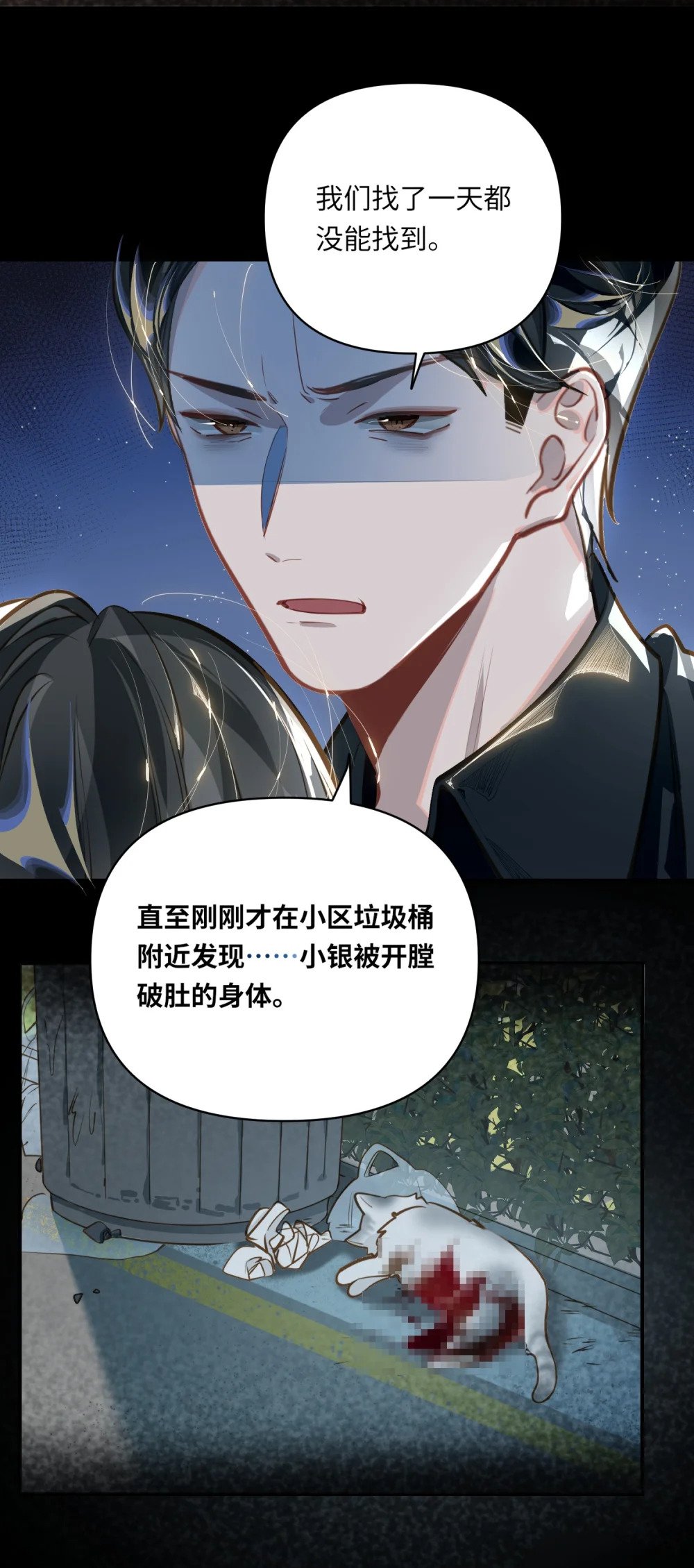 018 受伤的猫10