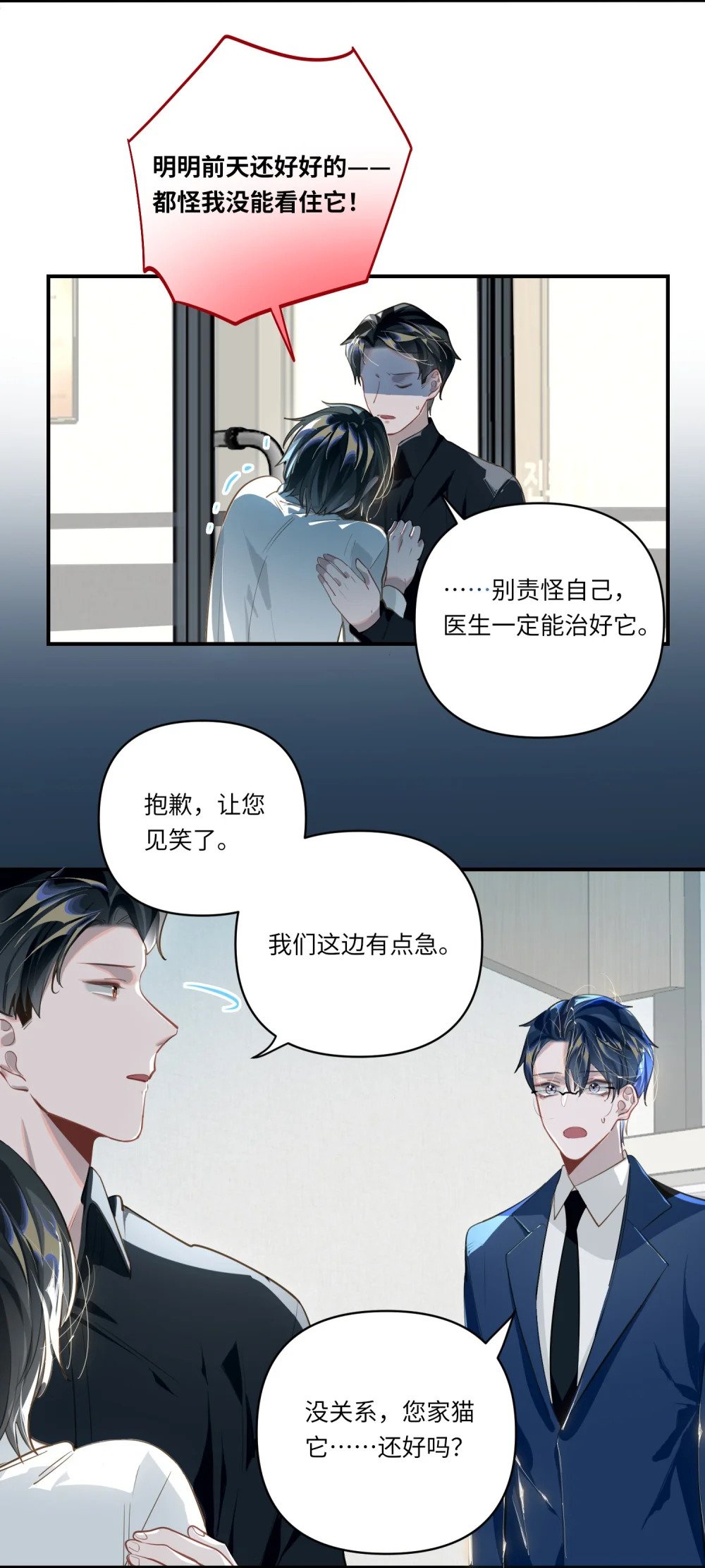 018 受伤的猫6