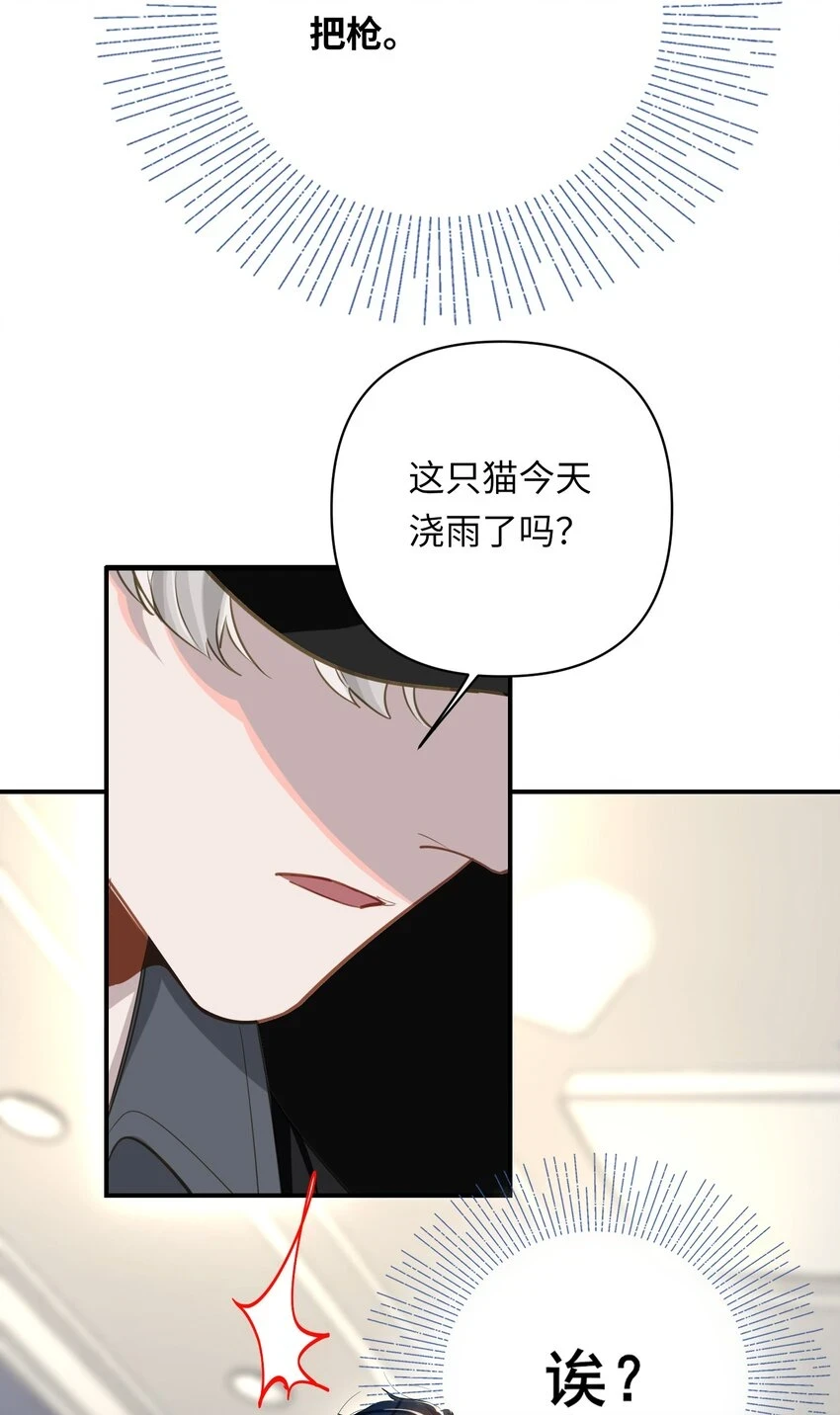 005 对峙31