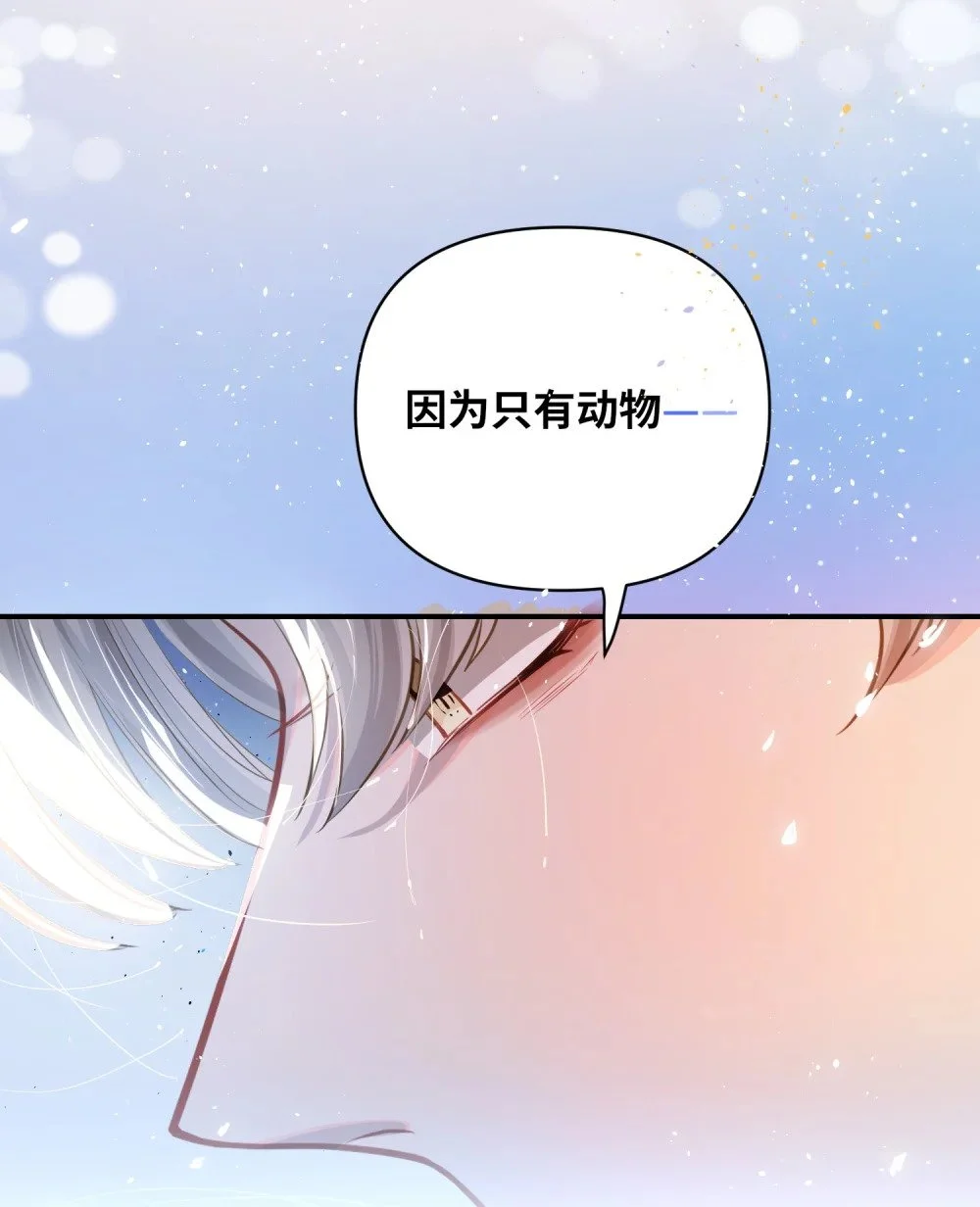 040 这特么是双人床吧！34