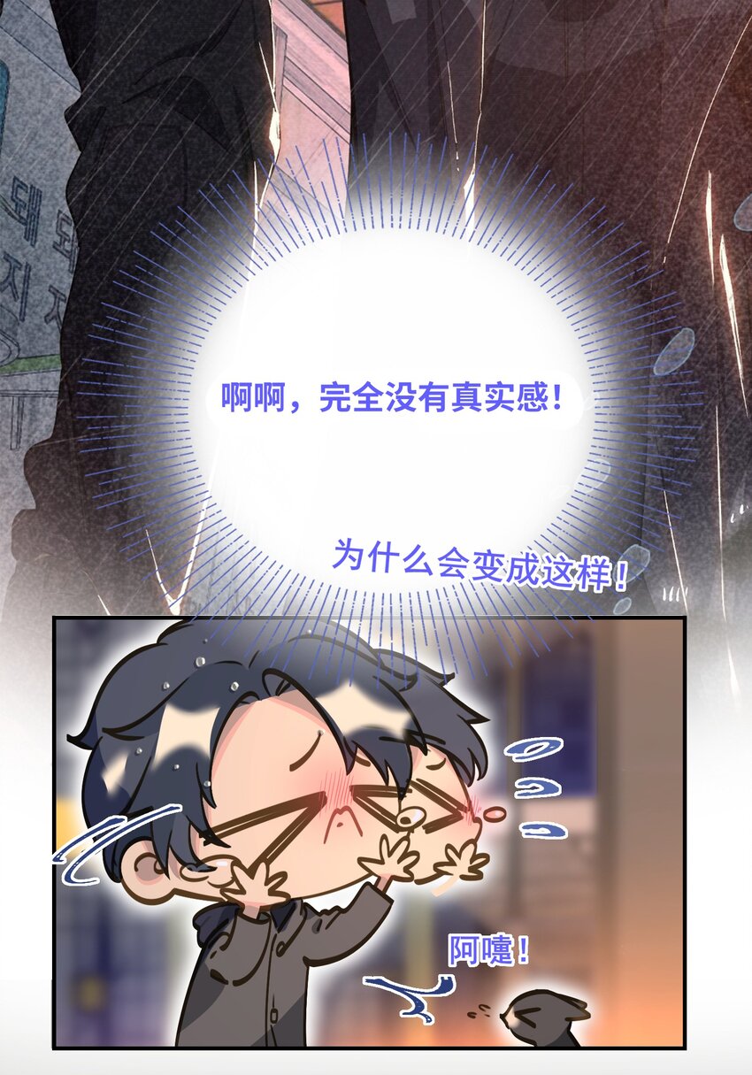 004 捡到猫了！17