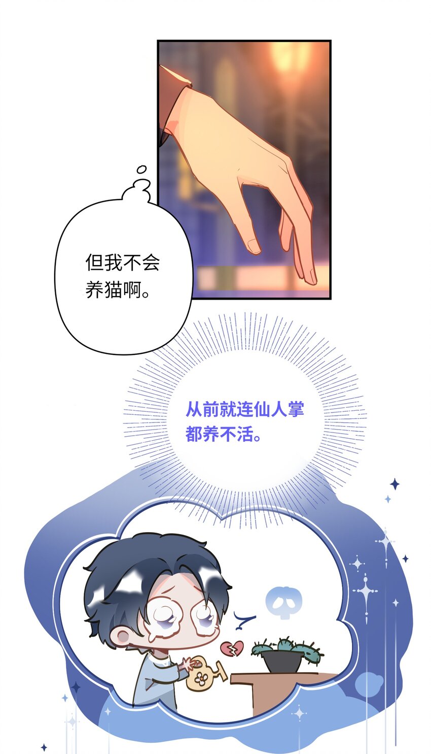 004 捡到猫了！13