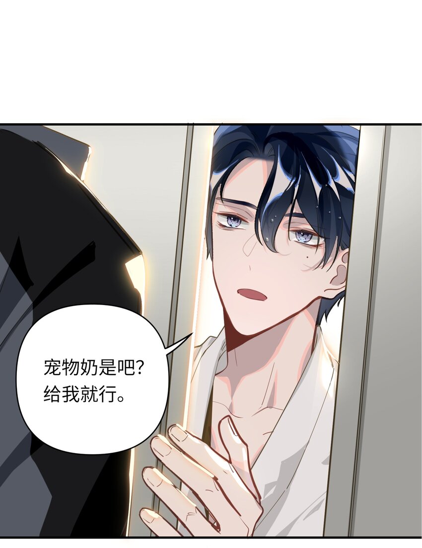 004 捡到猫了！37