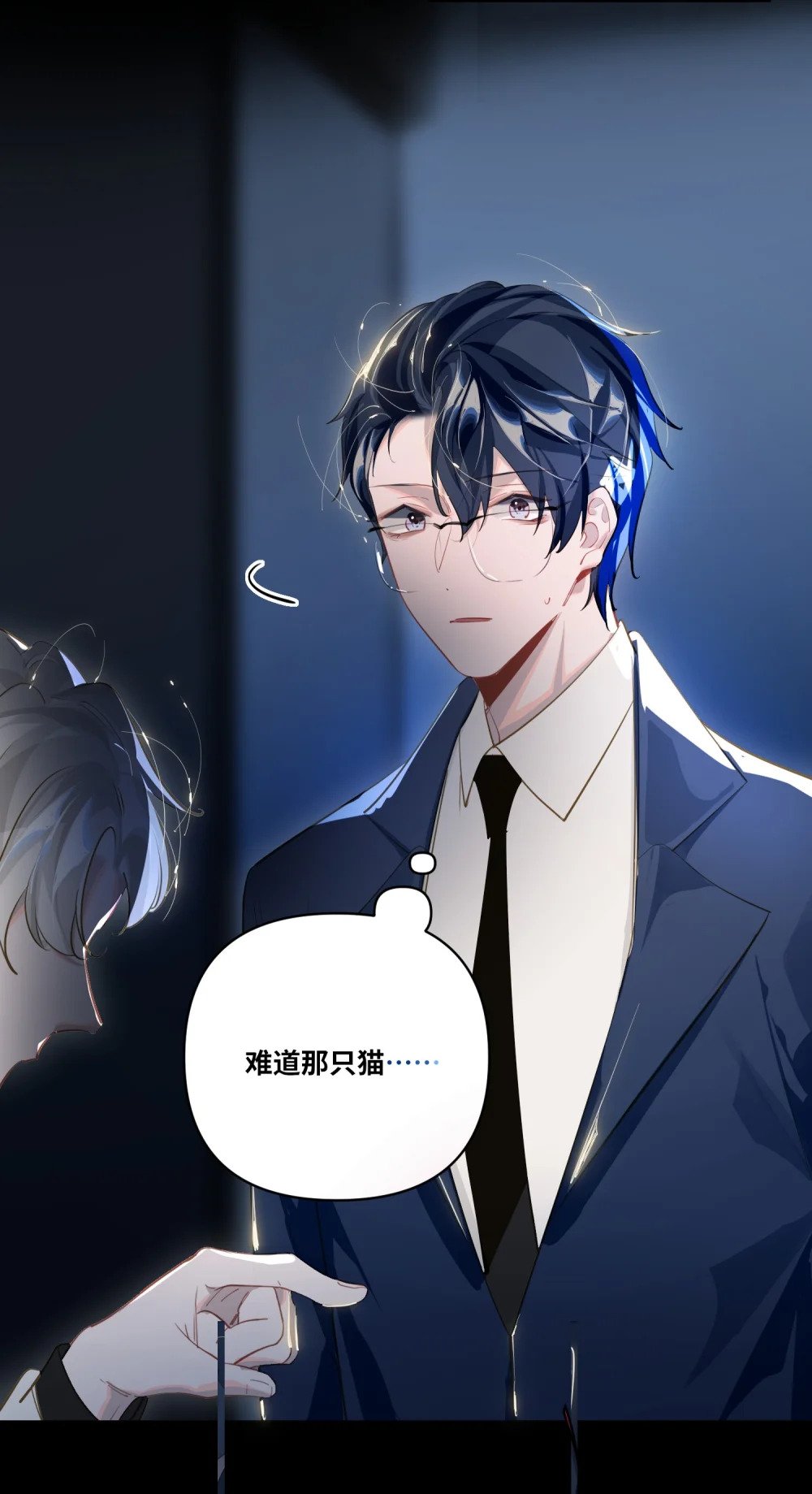 018 受伤的猫26