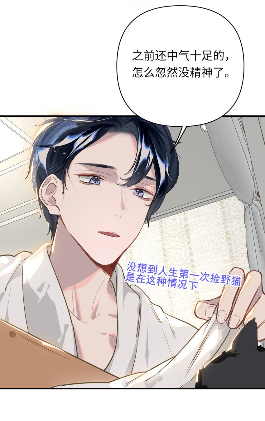 004 捡到猫了！28