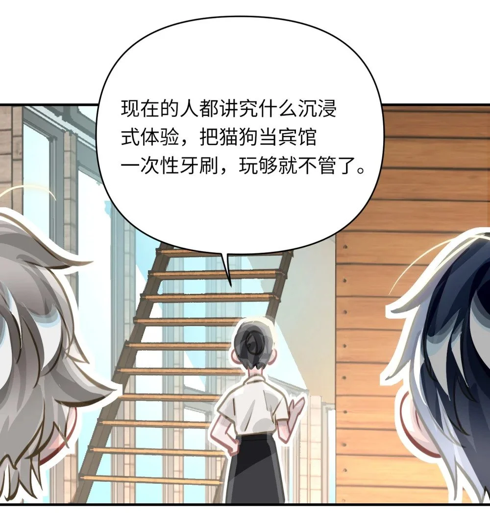 037 这事要是办成了，请我吃饭21