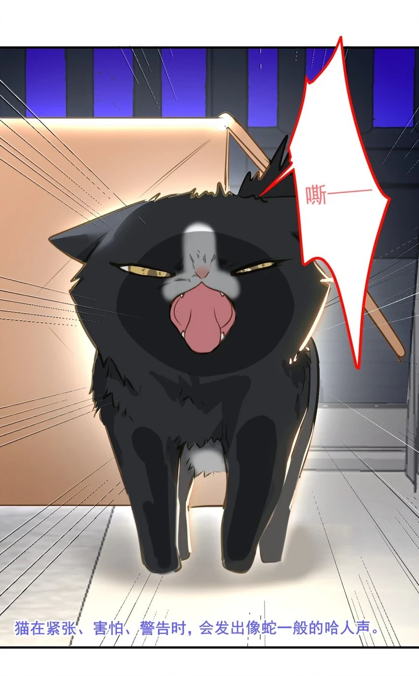 005 对峙23