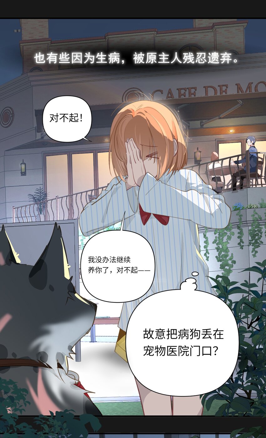 002 美好的他11