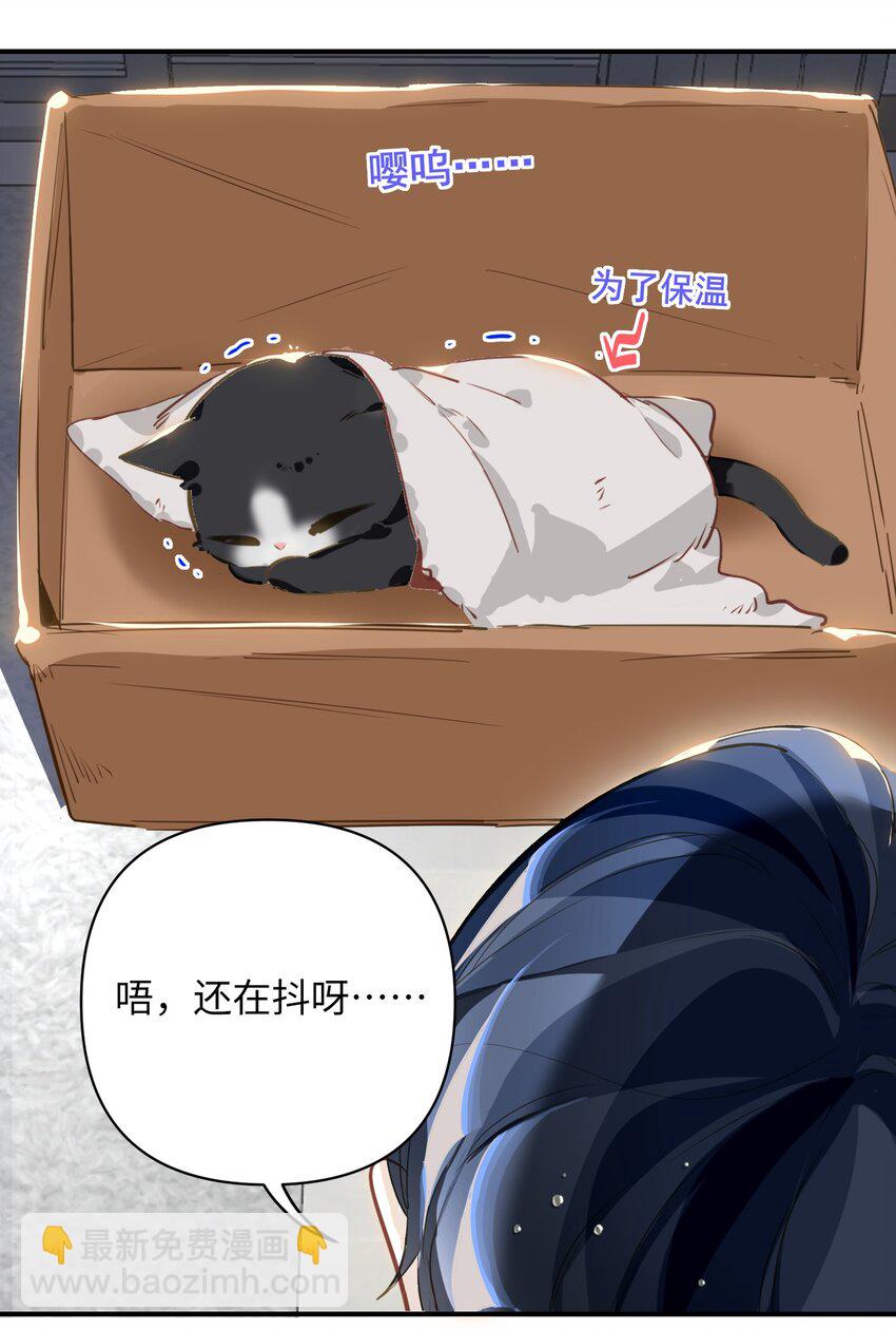 004 捡到猫了！27