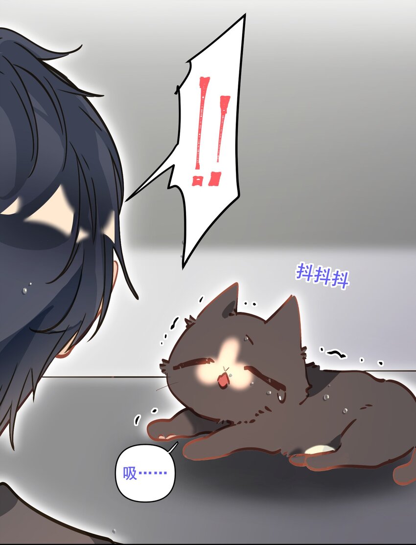 004 捡到猫了！18