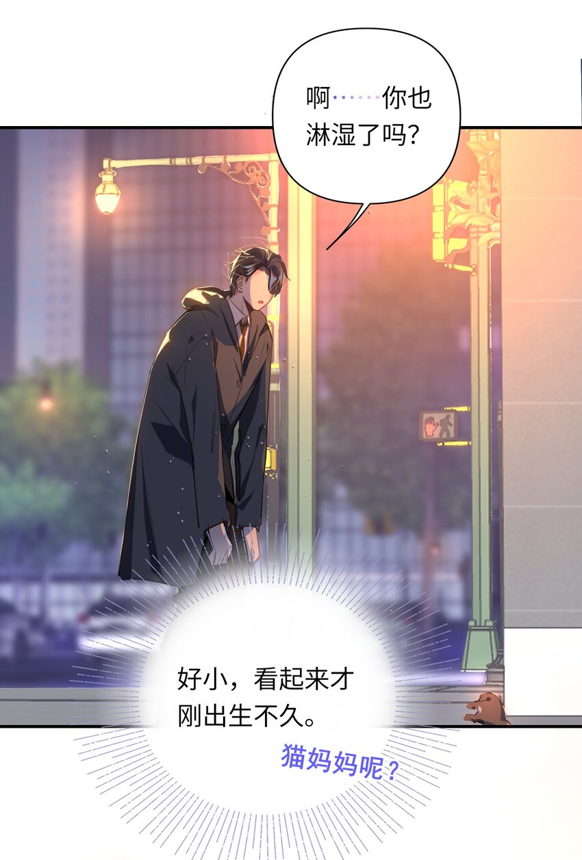 004 捡到猫了！11
