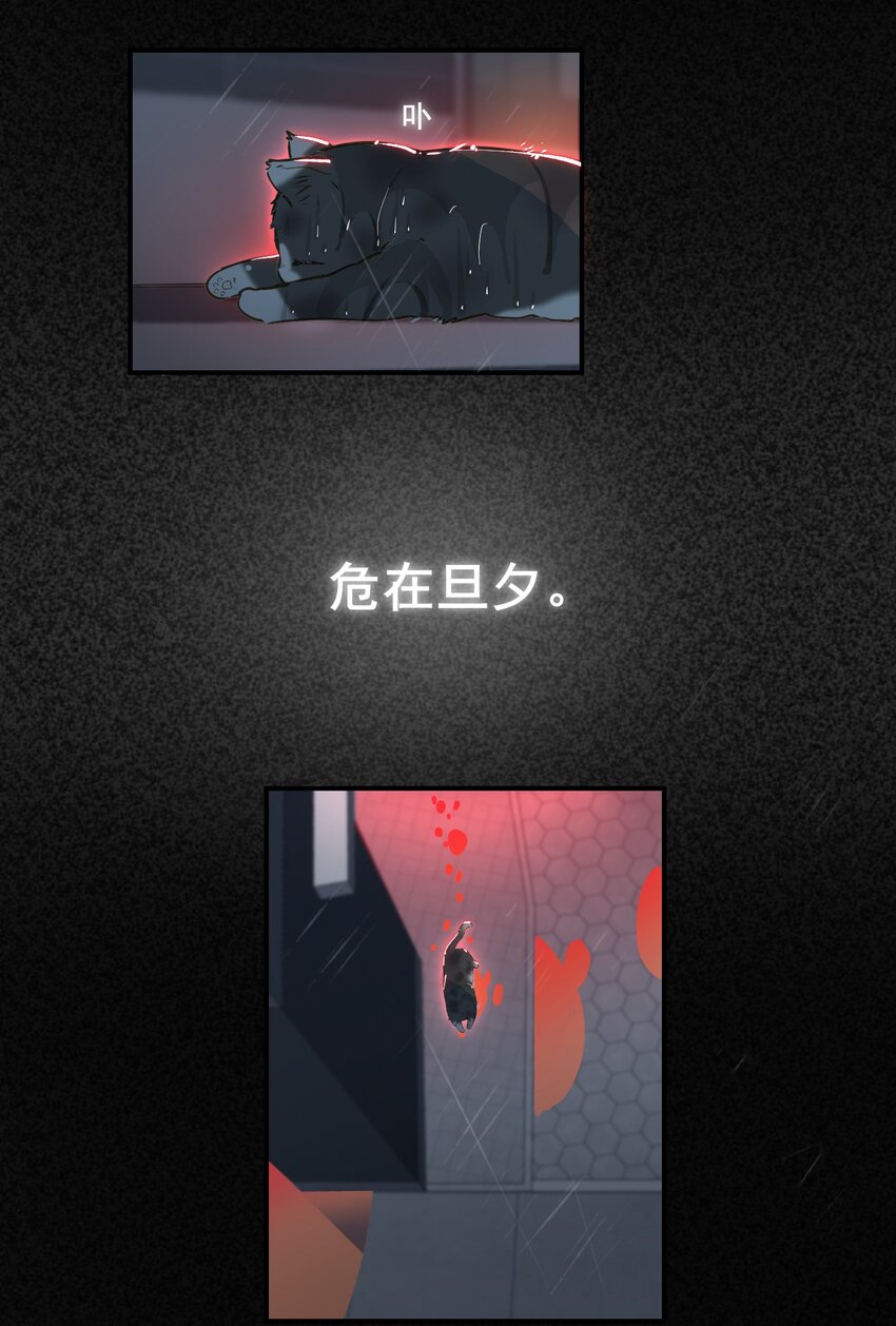 003 杀人现场？！40