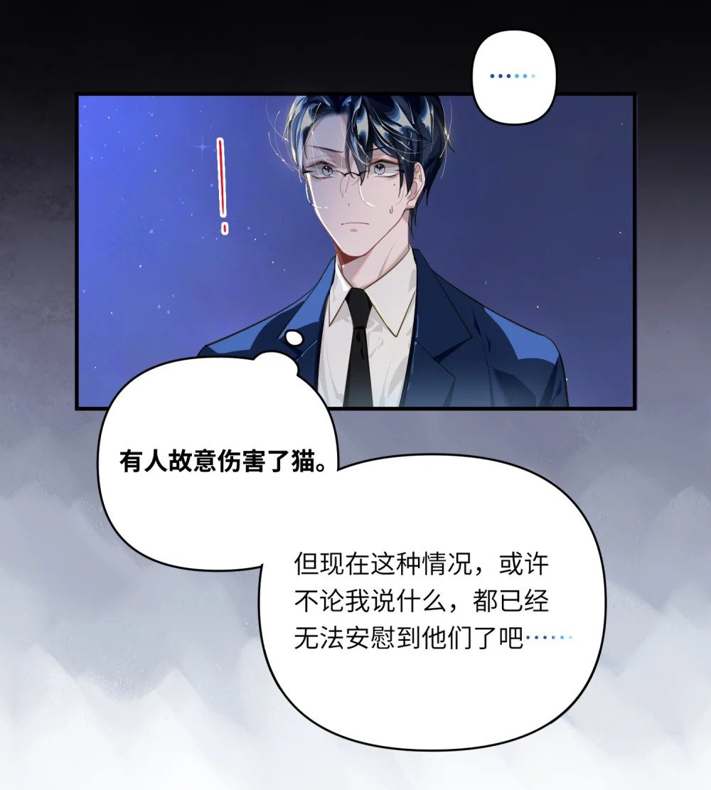 018 受伤的猫11