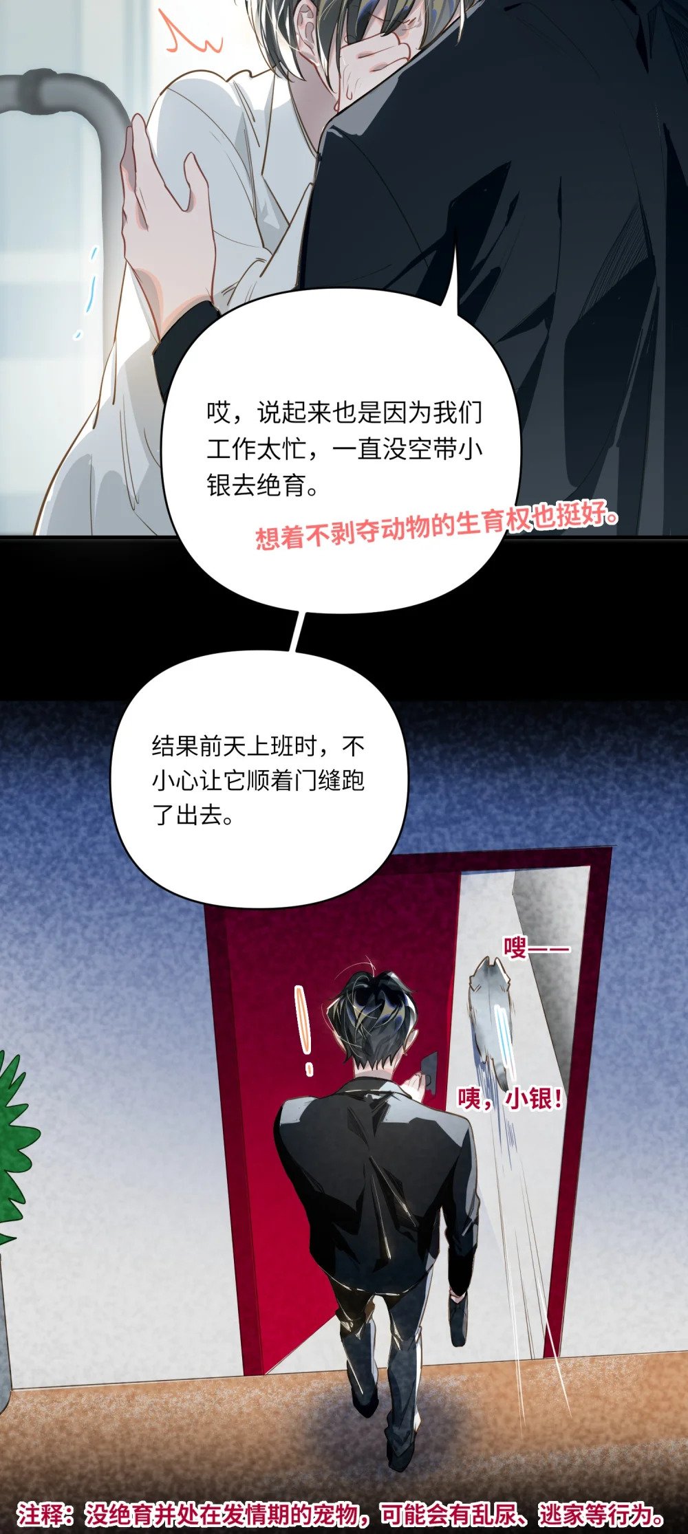 018 受伤的猫9