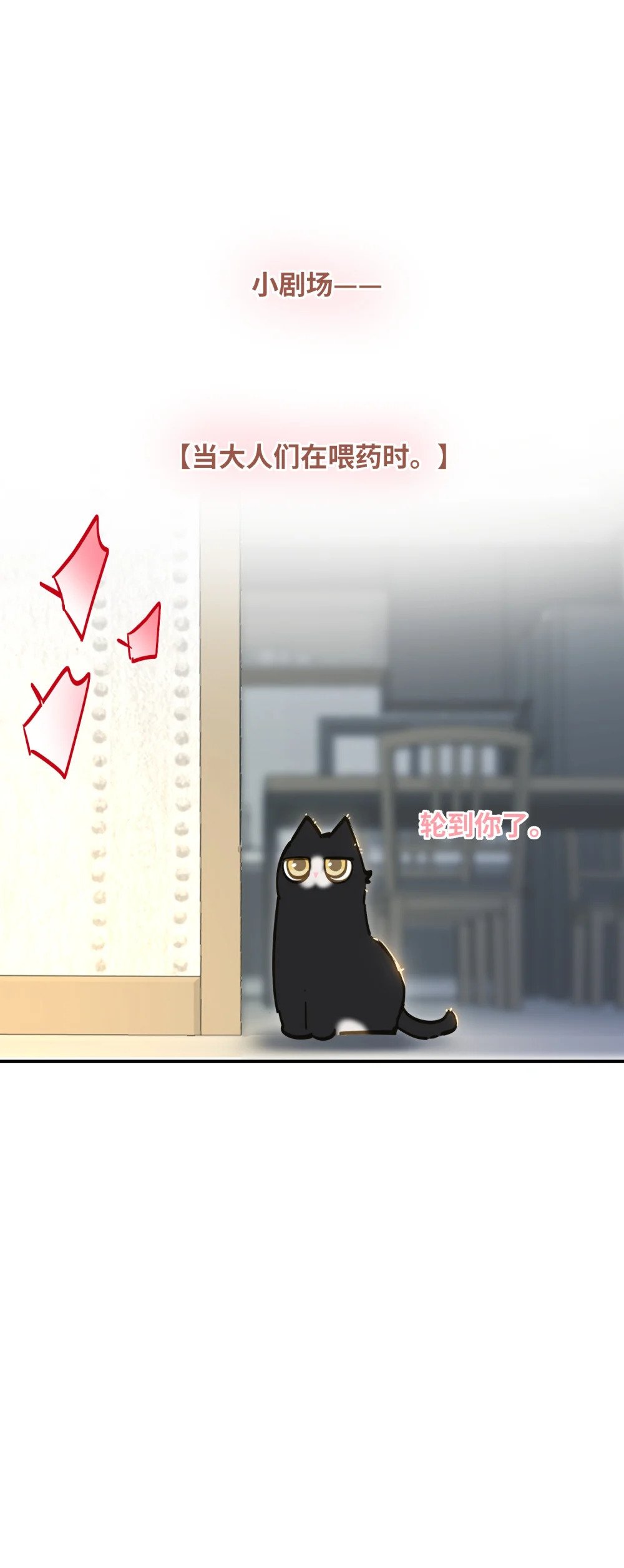 013 强迫猫咪吞咽39