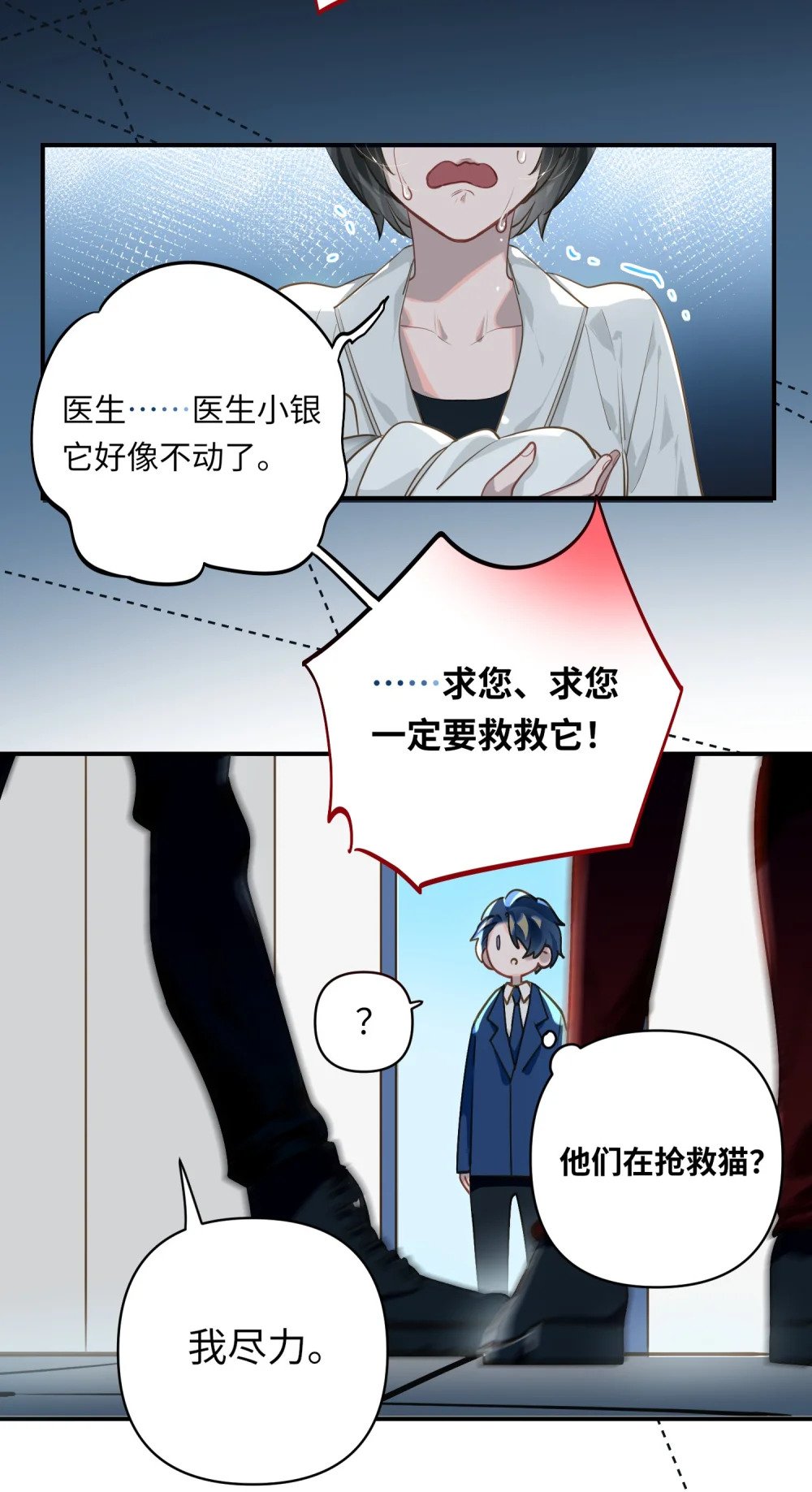 018 受伤的猫2