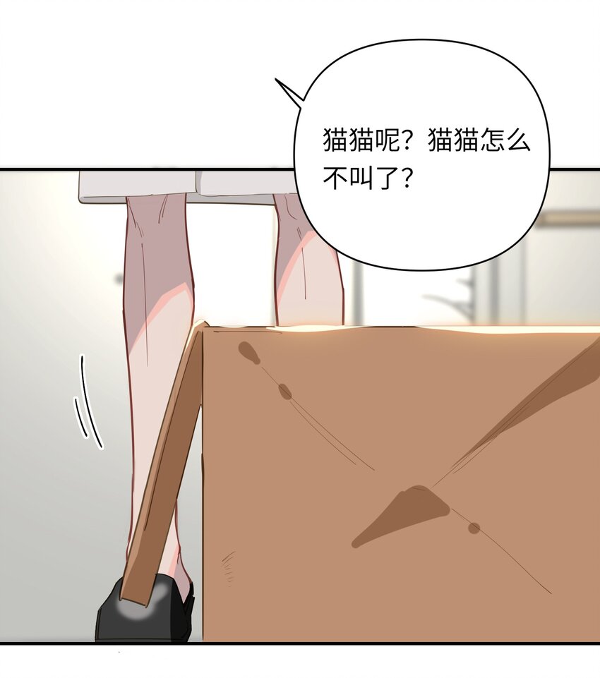 004 捡到猫了！26