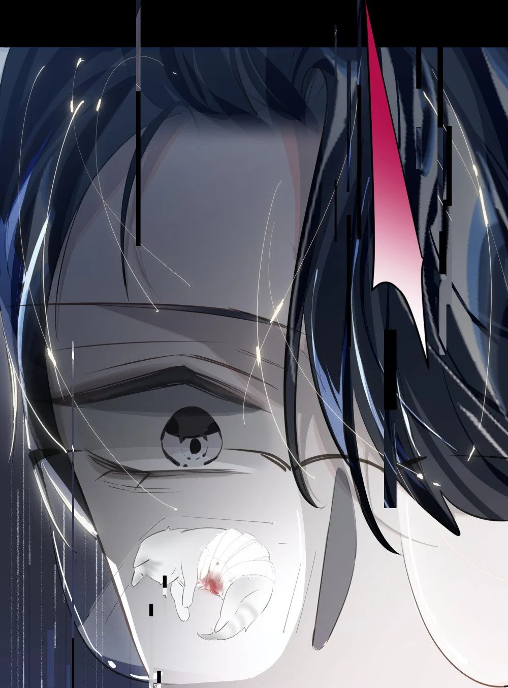 018 受伤的猫27
