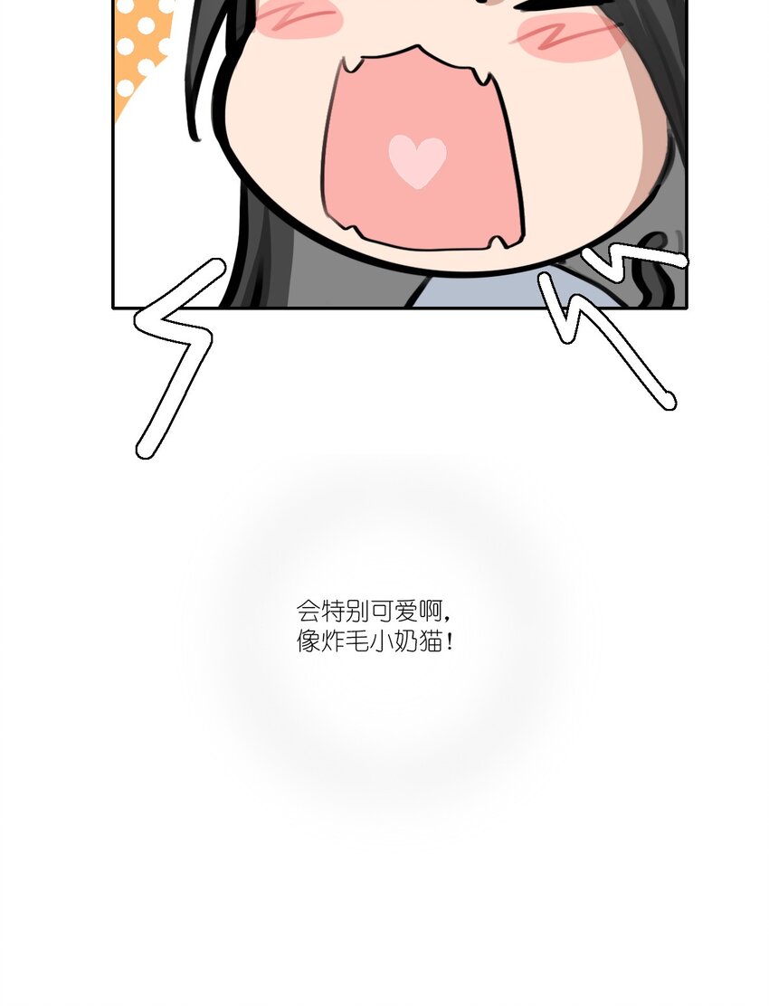 07 炸毛小奶猫，特别可爱啊。14