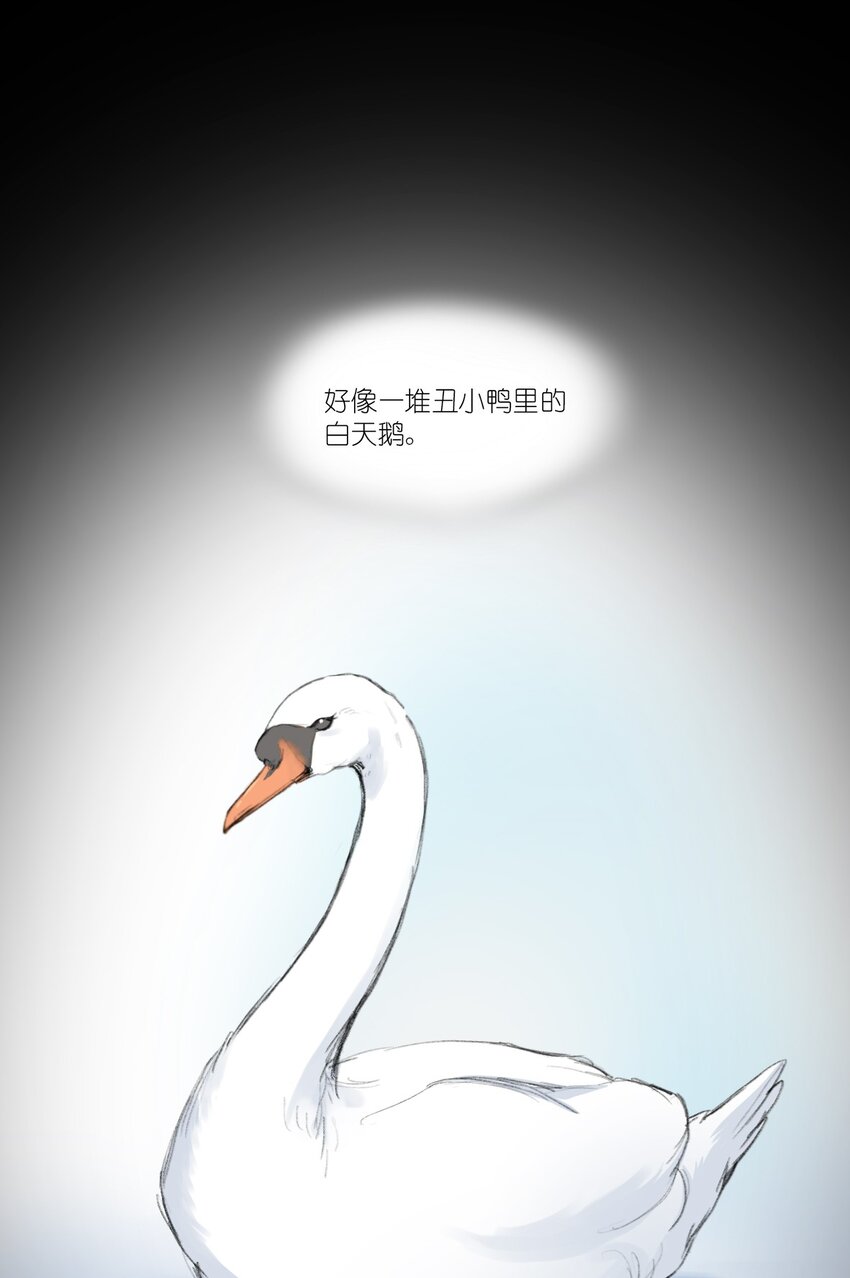 09 这只熊猫，送给你！10