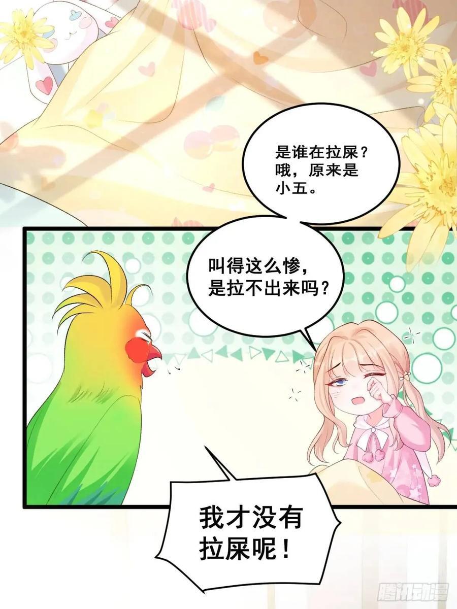 22 大舅舅的宠星3