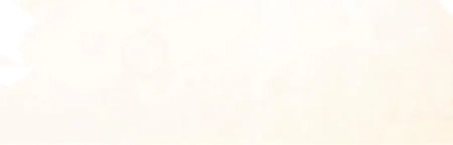 陆芸的身份171