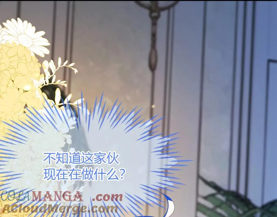 陆芸的身份24