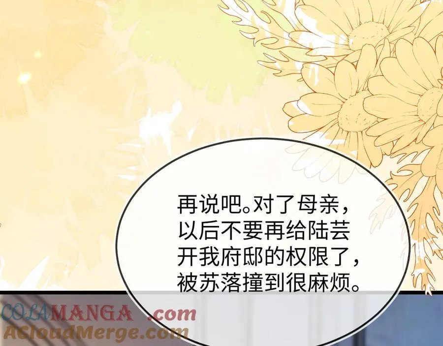 陆芸的身份48