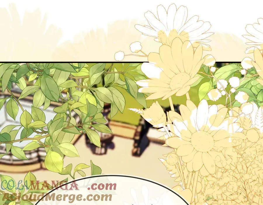 陆芸的身份104