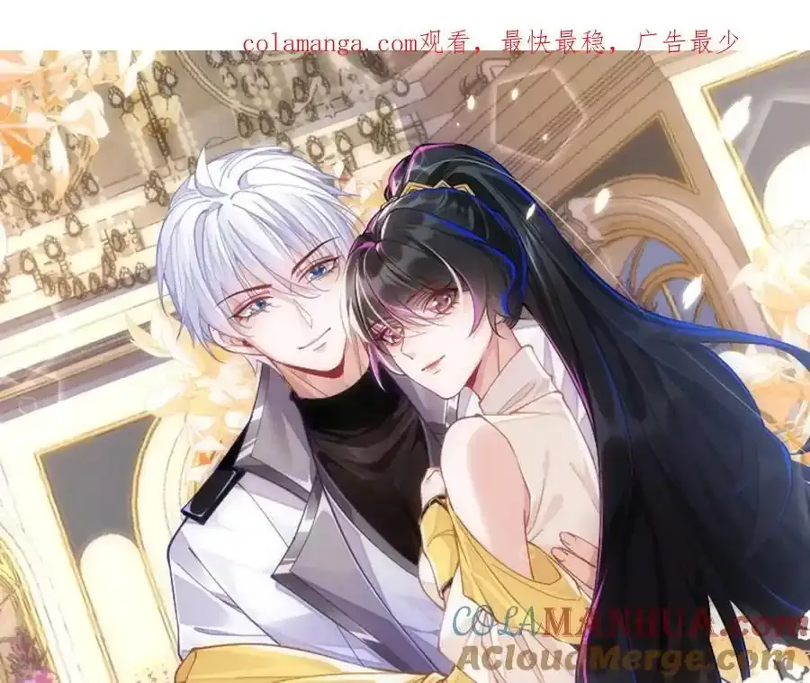 我们离婚吧0