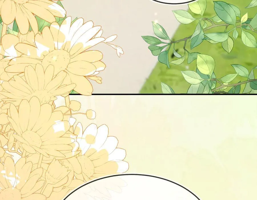 陆芸的身份107