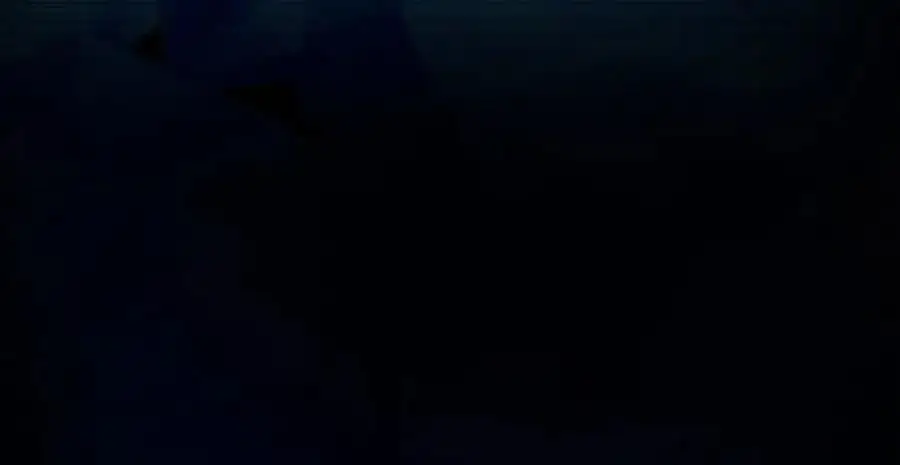 28 活不过三日102