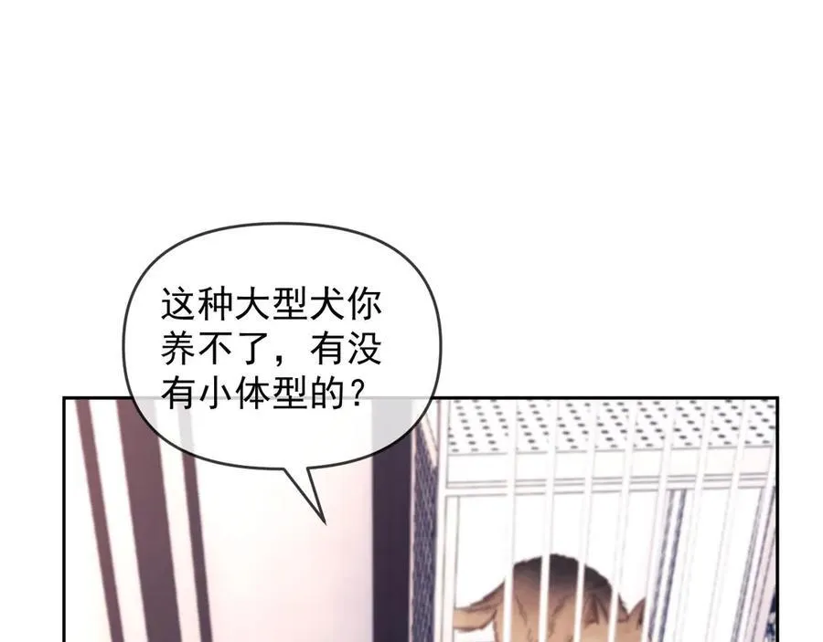 第50话 不是夫妻但胜似夫妻14