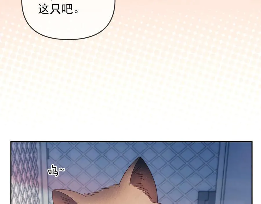 第50话 不是夫妻但胜似夫妻21