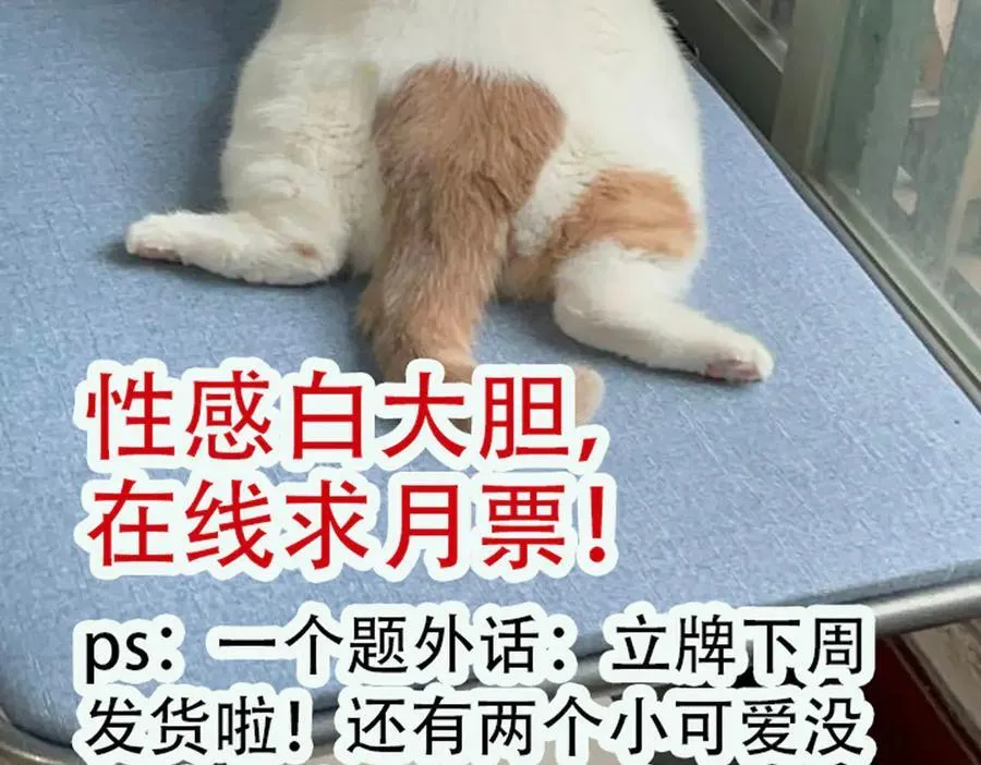 第81话 我要证明一件事82