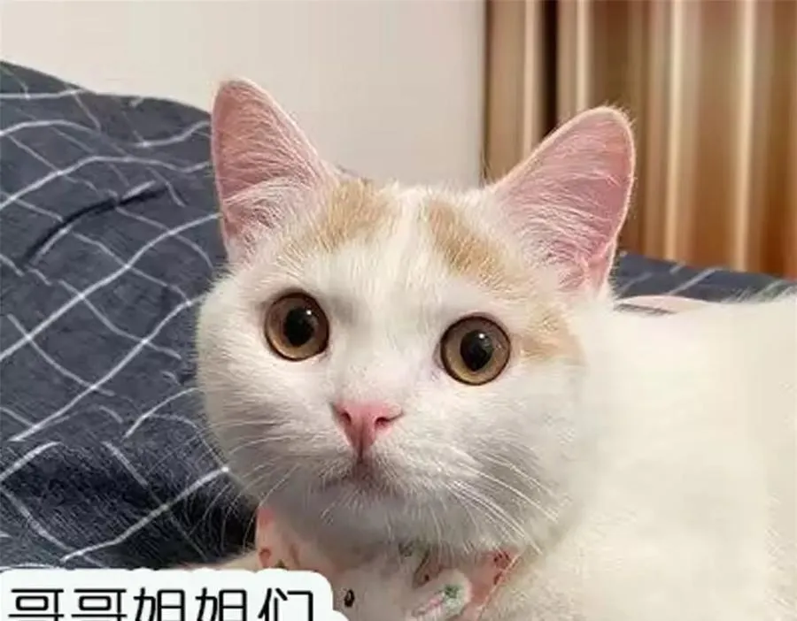 第85话 中毒谋杀79