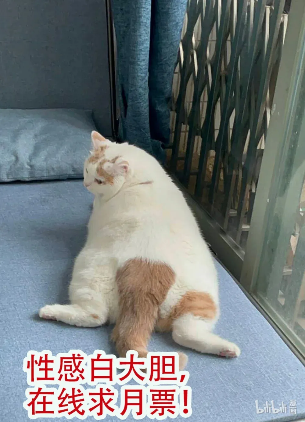 第73话 该道歉的人是你34