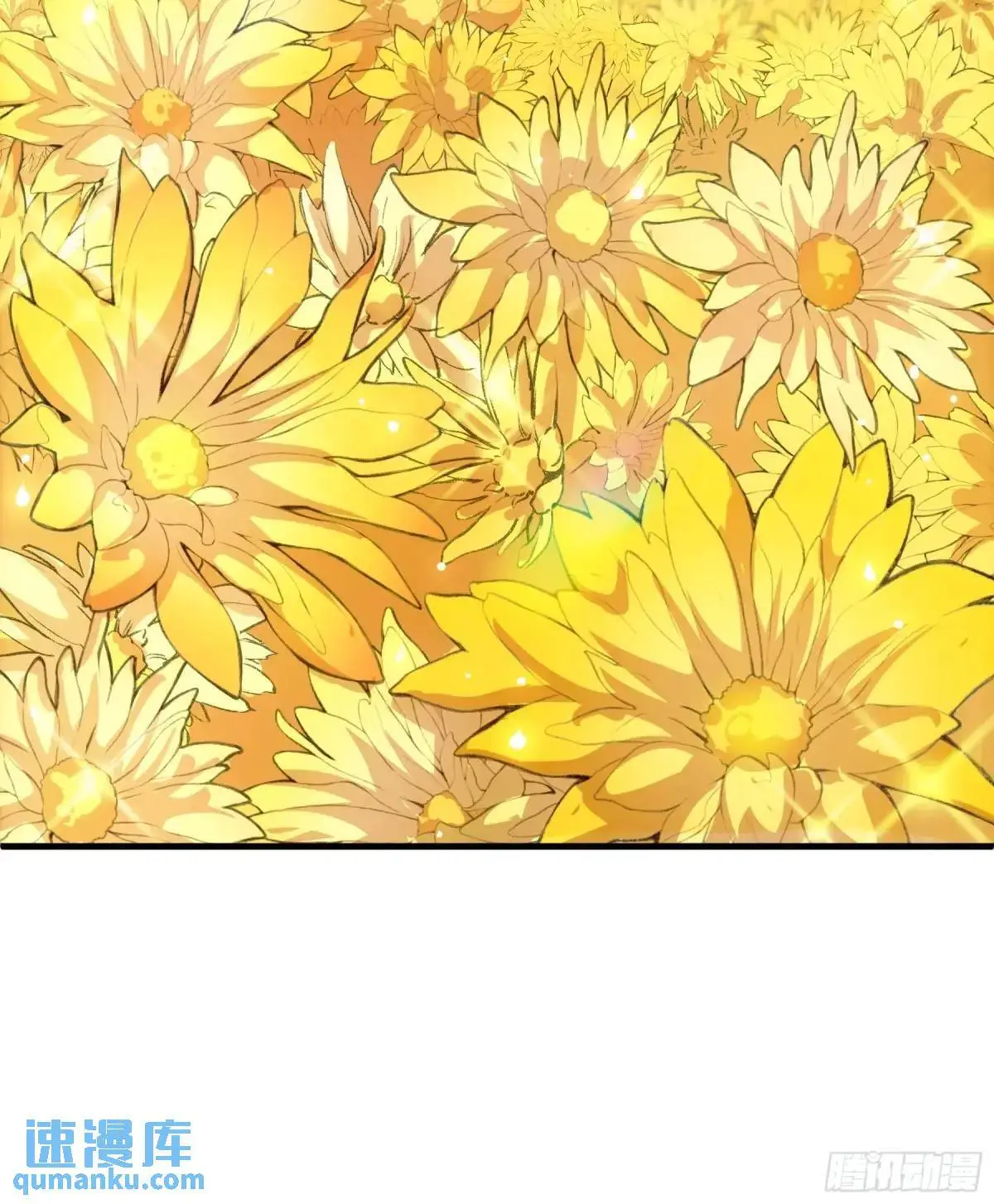 101.赏菊23