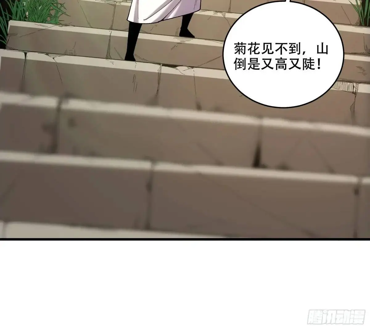 101.赏菊18