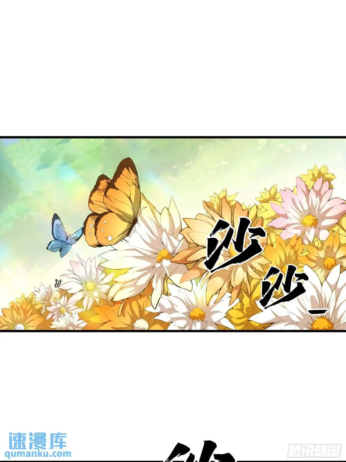 101.赏菊24